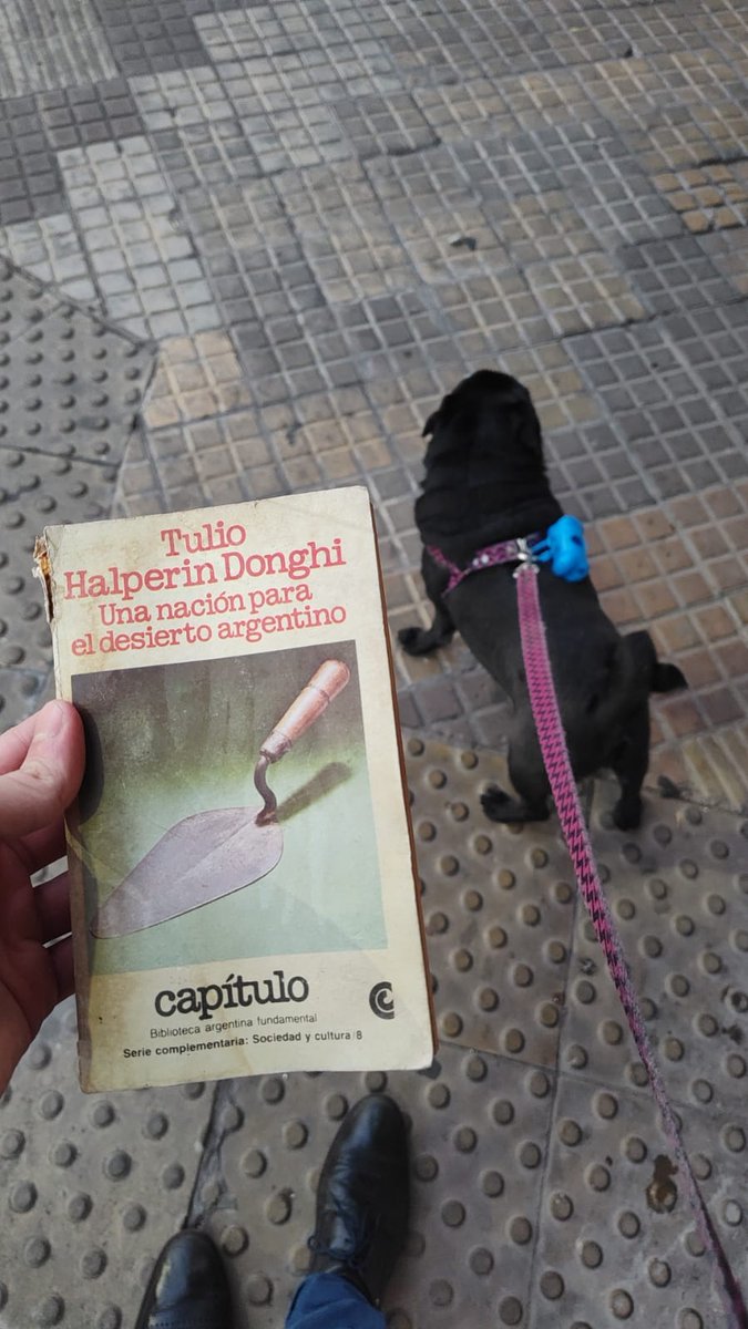 Salgan a pasear a sus perritos que por ahí tienen suerte y encuentran libros en la calle