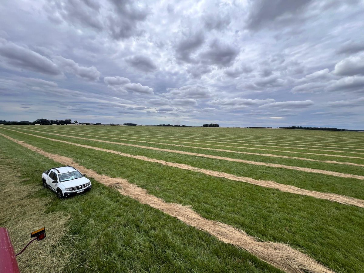 Procampo Uruguay tweet media
