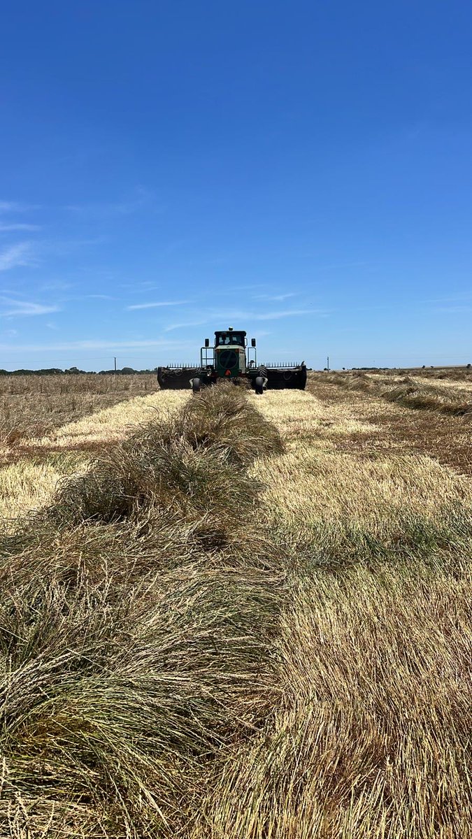 Procampo Uruguay tweet media