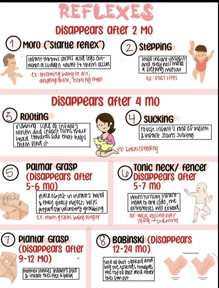 OGdukeneurosurg's tweet photo. Baby reflexes https://t.co/f8FeVgS8UN