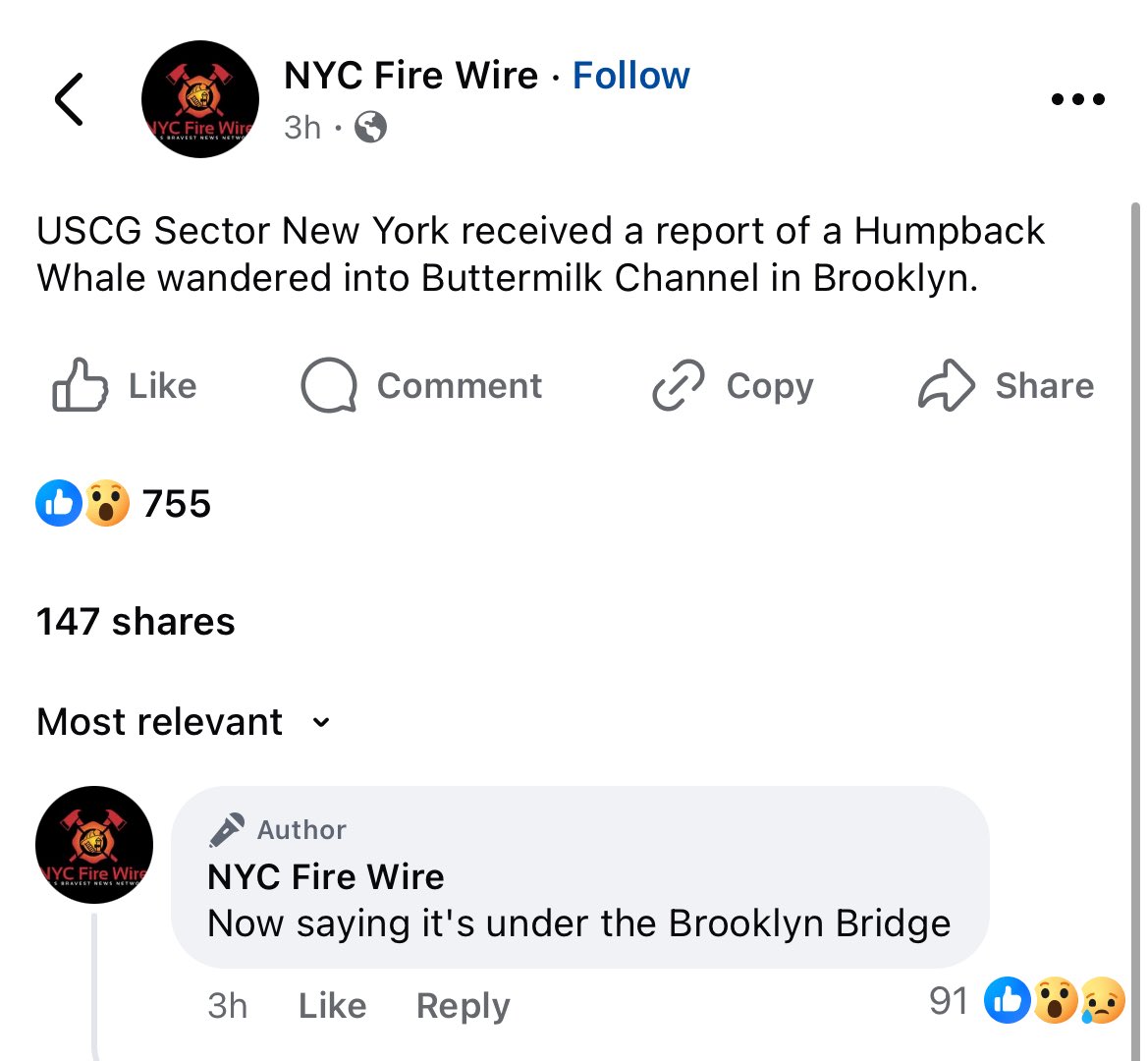 chrisstIawrence's tweet image. ⚠️🐋 EYES ON THE WATER NYC 

A HUMPBACK WHALE has been reported in Buttermilk Channel and under the Brooklyn Bridge in the past few hours. 

Vessels should keep a minimum 100ft distance and keep slow speeds. 🧵