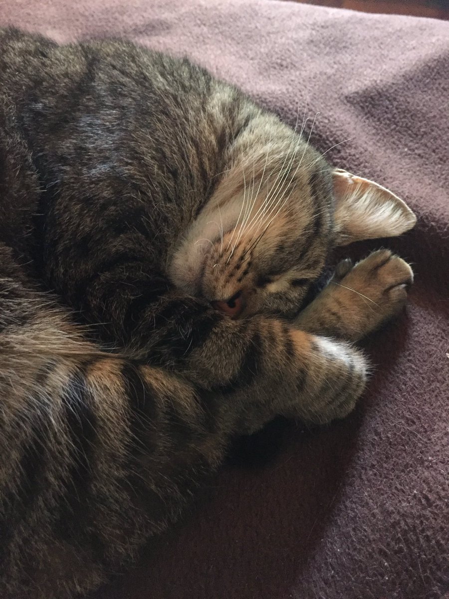 Juan Lomanto tweet media