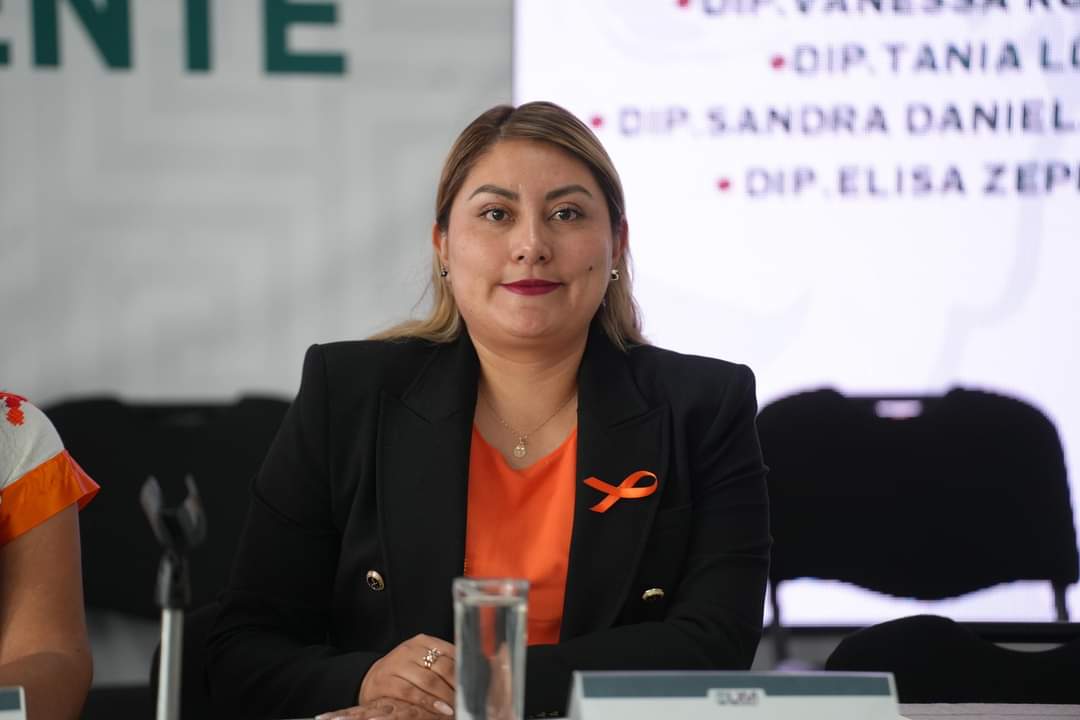 santosf1101's tweet photo. Desde la sede del @CongresoOaxaca_, se realizó la instalación de la Comisión Permanente de Fortalecimiento y Asuntos Municipales; será el Diputado Local Adán José Maciel Sosa quien la presidirá, junto a las y los congresistas que la integran. #LXVILegislatura 
@adanmacielsosa https://t.co/HvhjOqaSd4
