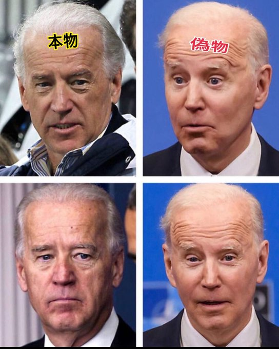 このままバイデンが偽物だったこと一生分からず過ごす人もいるんだろうね。明らかに偽物なのにね。