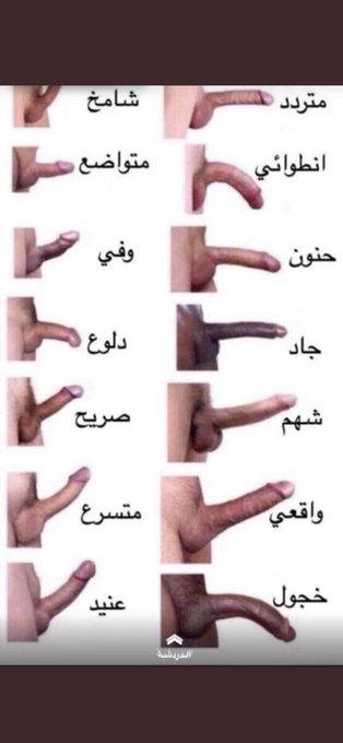 يا حلوين 🍭
هي كل واحد يوصف زبه الحلو 🤤♠️

#سالب_بنوتي