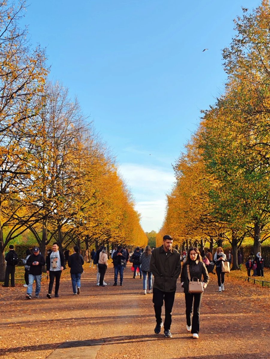 orientalli's tweet image. A bustling promenade lined with trees displaying autumn colors, as people walk along on a sunny day.