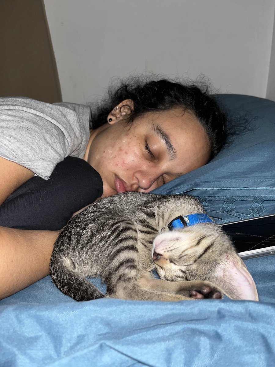 marivioliver_'s tweet photo. Um soninho profundo com meu mais novo amorzinho ❤️🐱 https://t.co/0E8OsXFBxq