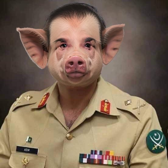 افواجِ پاکستان اور عوام ایک ہیں: جنرل (حلالِ چوتیا) عاصم منیر باجوہ
