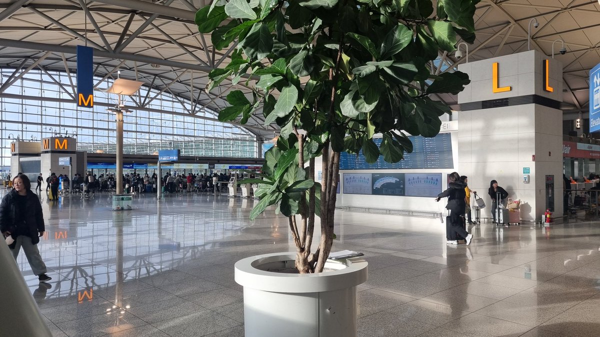 인천공항 1터미널 
3층출국장 한산합니다 
2024.11.26.화
오전9시16분