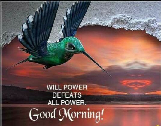 AbhaySinghIAS's tweet photo. #TuesdayMorning #MotivationalQuotes https://t.co/uVRQkd3XAt