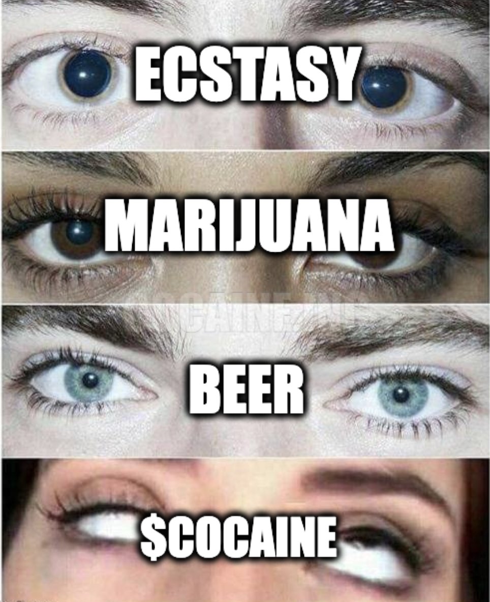 What’s the healthiest choice among these? The one that will make you rich during this bull run. Get your bag now, before it’s too late!