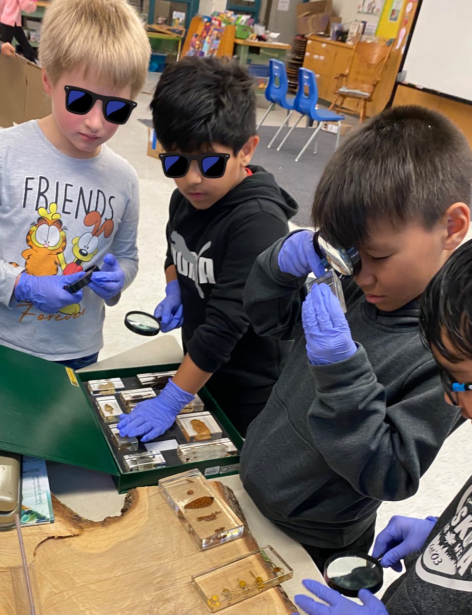 MsGordonSTEAM tweet media