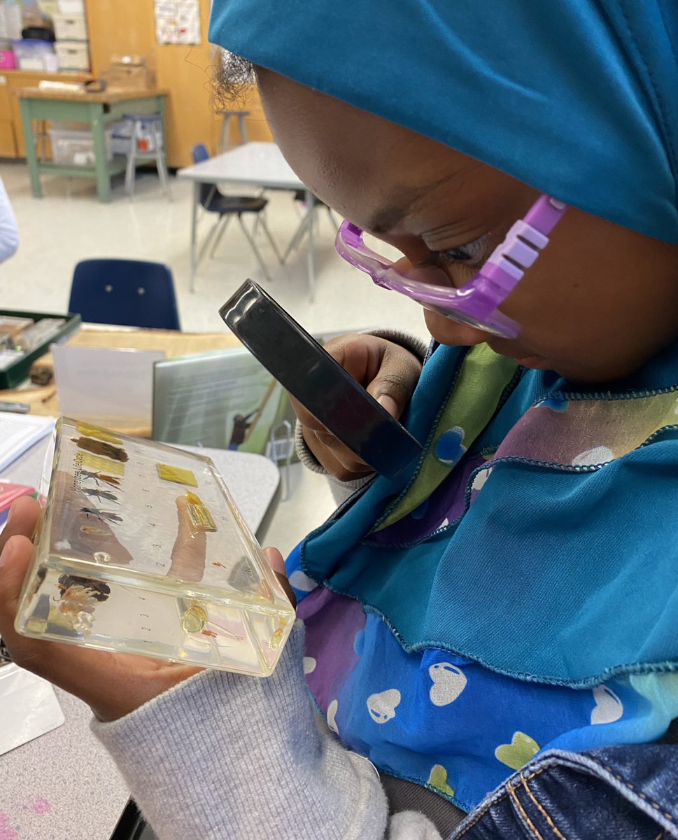 MsGordonSTEAM tweet media