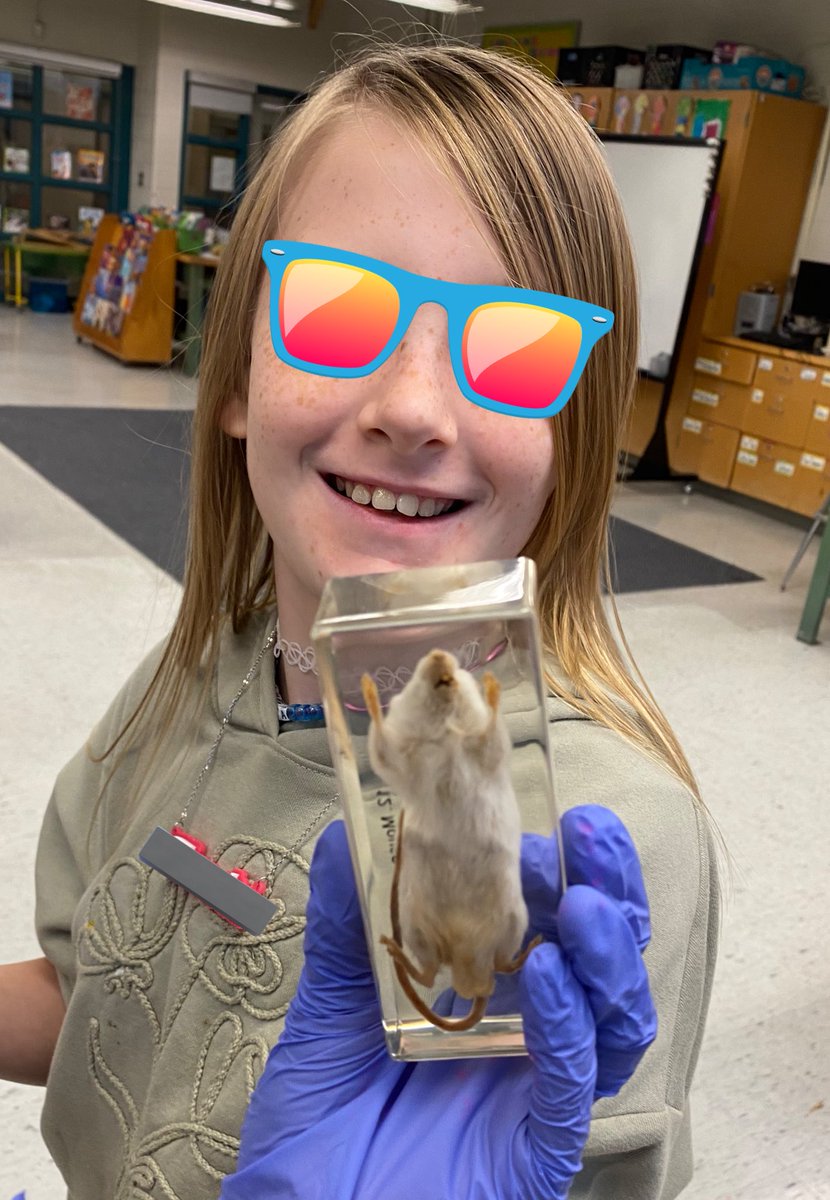 MsGordonSTEAM tweet media