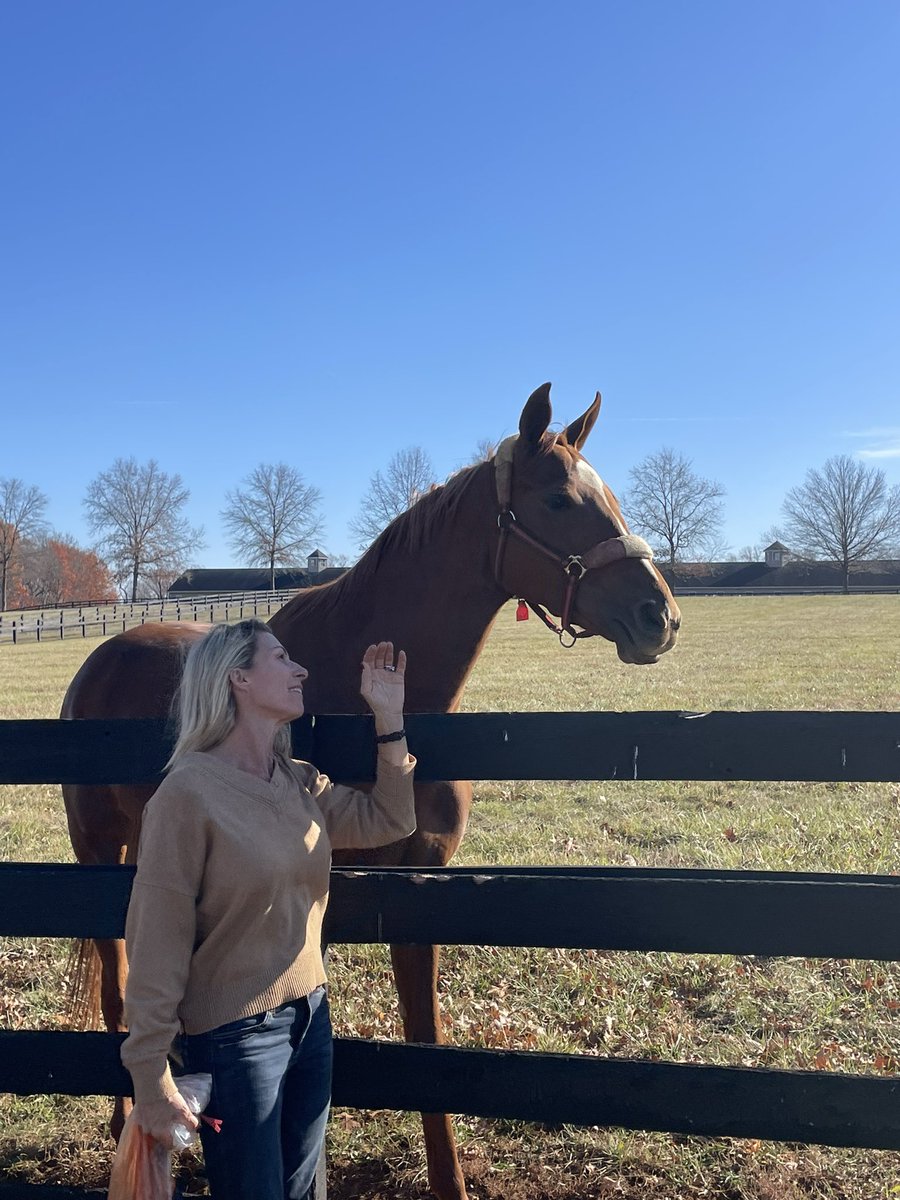 Hennigracing's tweet photo. We had a nice visit to @HoganEquine today, great to see some of the horses in a different environment. They were kinda happy to see us too! @RHennig00
#GunSong #HarryHood #PrivateFlight #CatChat https://t.co/KHyD8Dbvc4