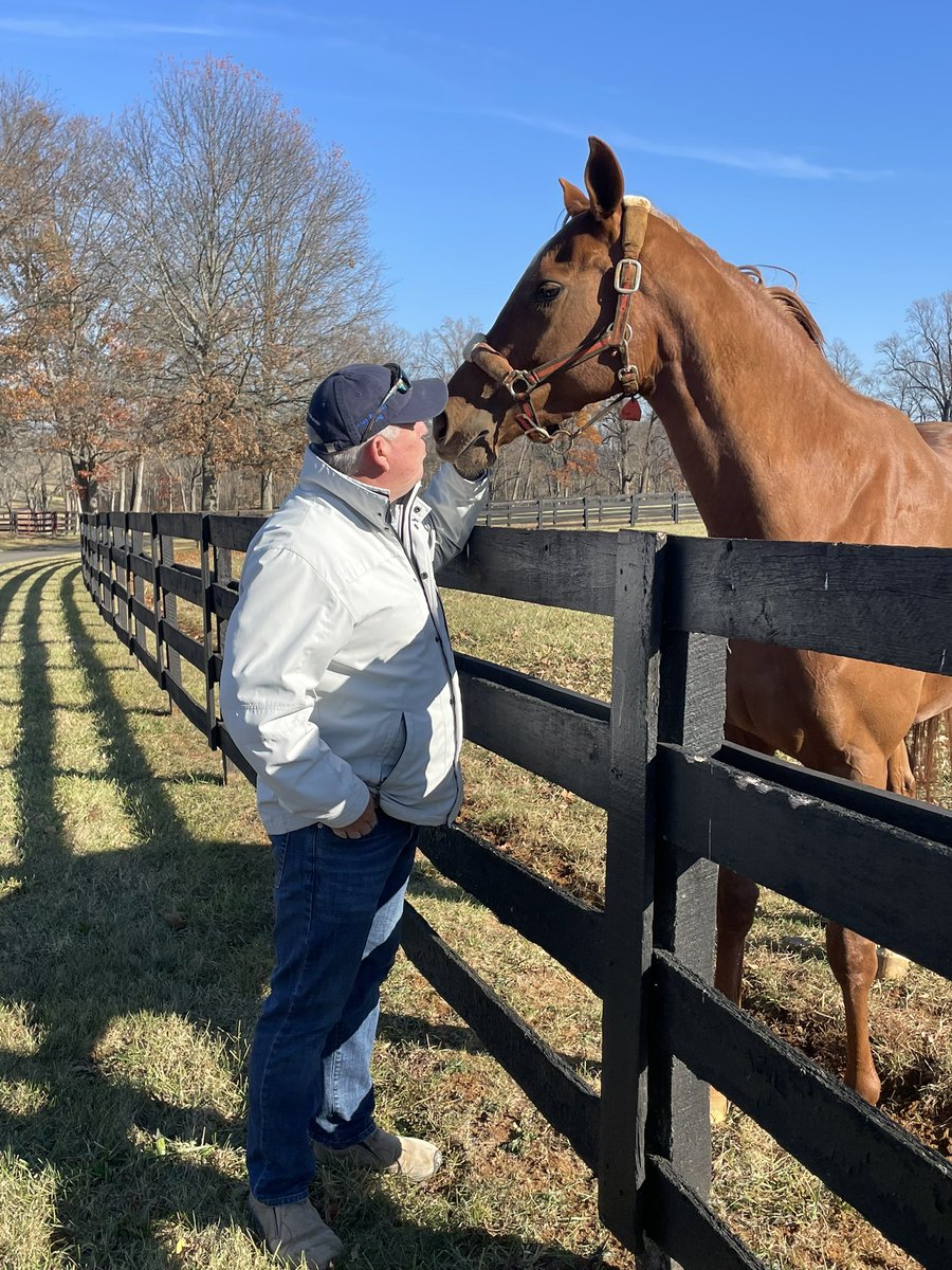 Hennigracing's tweet photo. We had a nice visit to @HoganEquine today, great to see some of the horses in a different environment. They were kinda happy to see us too! @RHennig00
#GunSong #HarryHood #PrivateFlight #CatChat https://t.co/KHyD8Dbvc4