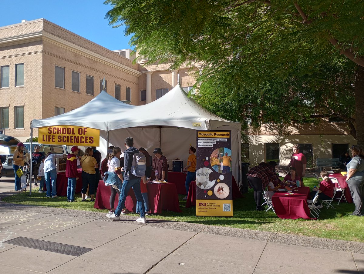 ⓚⓡⓘⓙⓝ tweet media