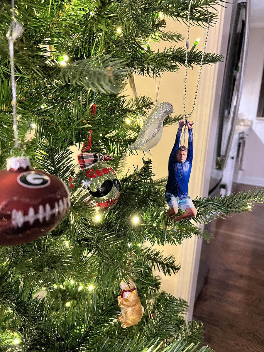 abbyjessen's tweet image. Merry Christmas #IThinkYouShouldLeave