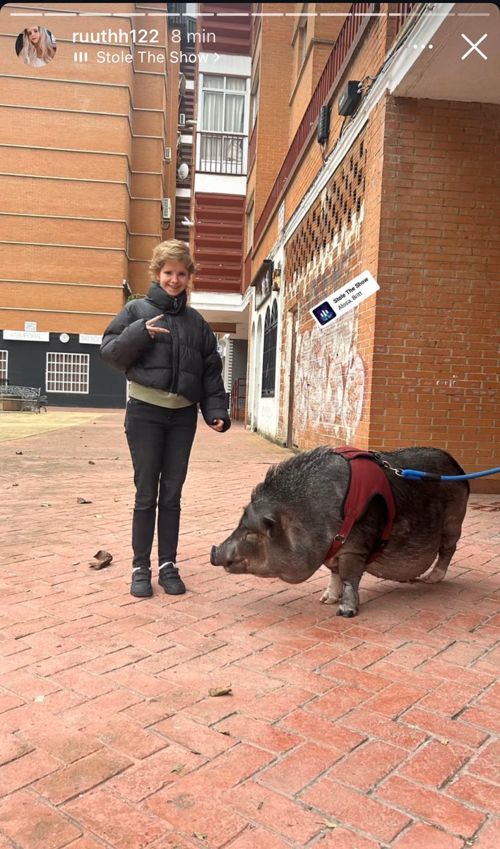 eljonanbaraka1's tweet photo. Aki con esta paseando al chucho❤️ https://t.co/lpcQwnbPa4