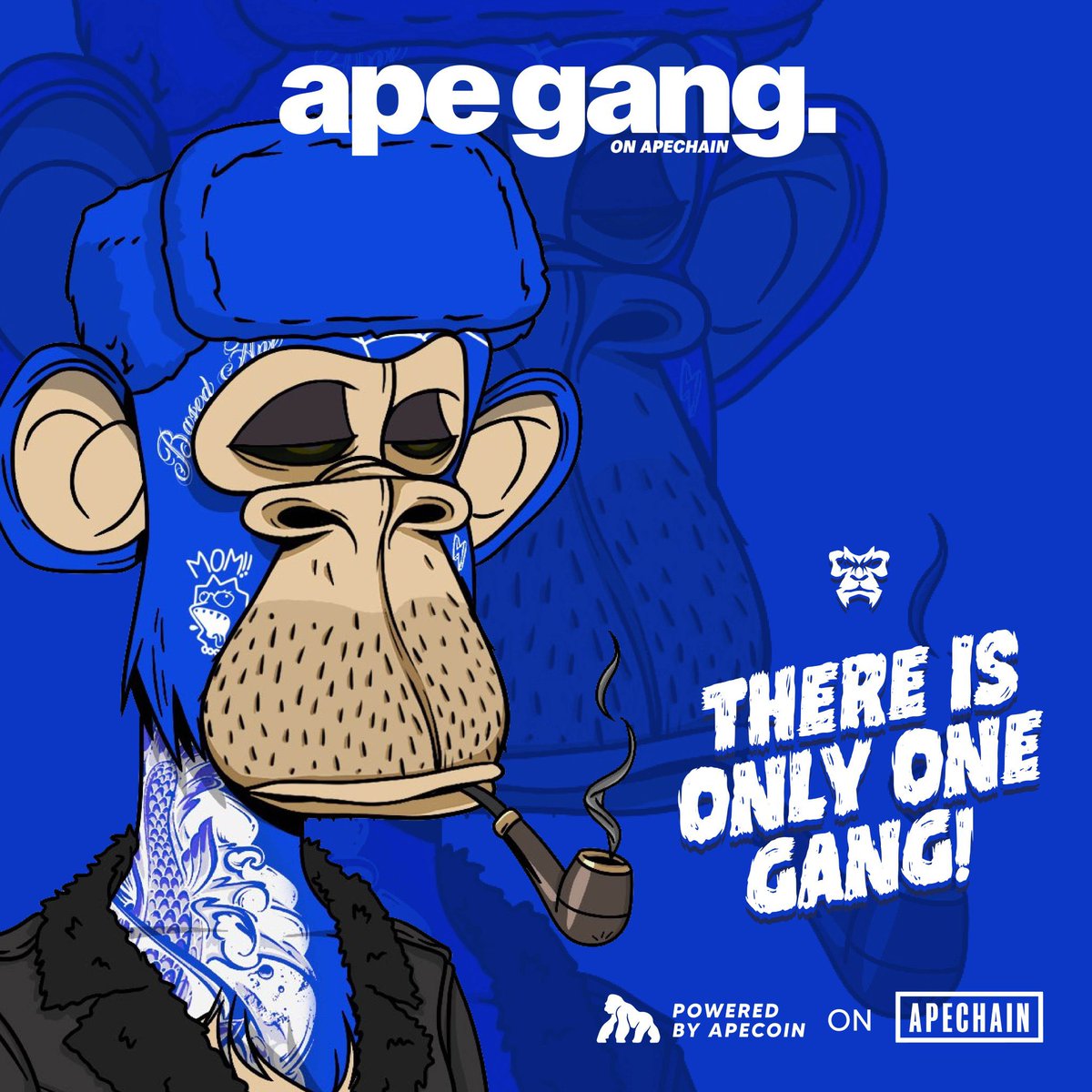 basedapegang tweet media