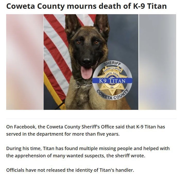K-9 Titan tweet media