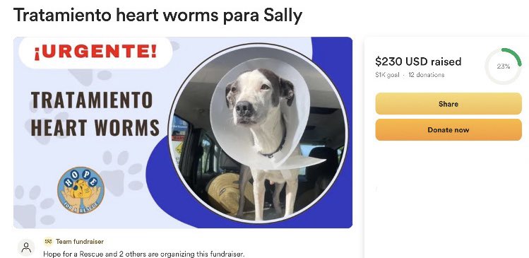 HopeForARescue's tweet photo. El tratamiento lleva un costo de $200 por inyección y son 3 en menos de 3 meses. Tu donación puede marcar la diferencia, sin importar la cantidad

Ayúdanos a compartir su historia y a brindarle la oportunidad de tener accesibilidad a su tratamiento❤️‍🩹

🔗https://t.co/MWrDzgBw8l https://t.co/B7y66zyTBV