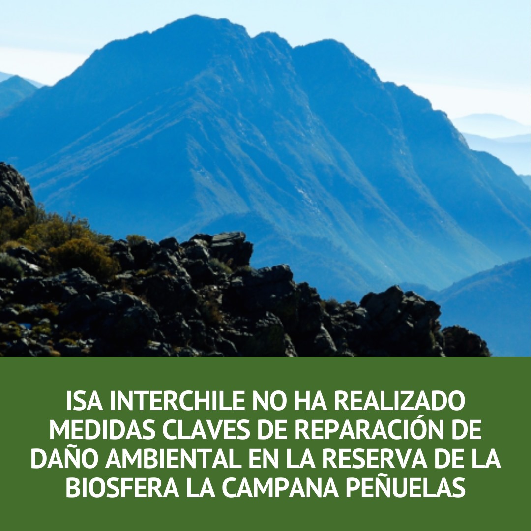 SlvmoslaCampana's tweet photo. Por qué el Tribunal Ambiental no le exige a #ISAINTERCHILE que cumpla con las medidas que le ordenó? #SalvemosLaCampana https://t.co/sJ0WmU0rIS