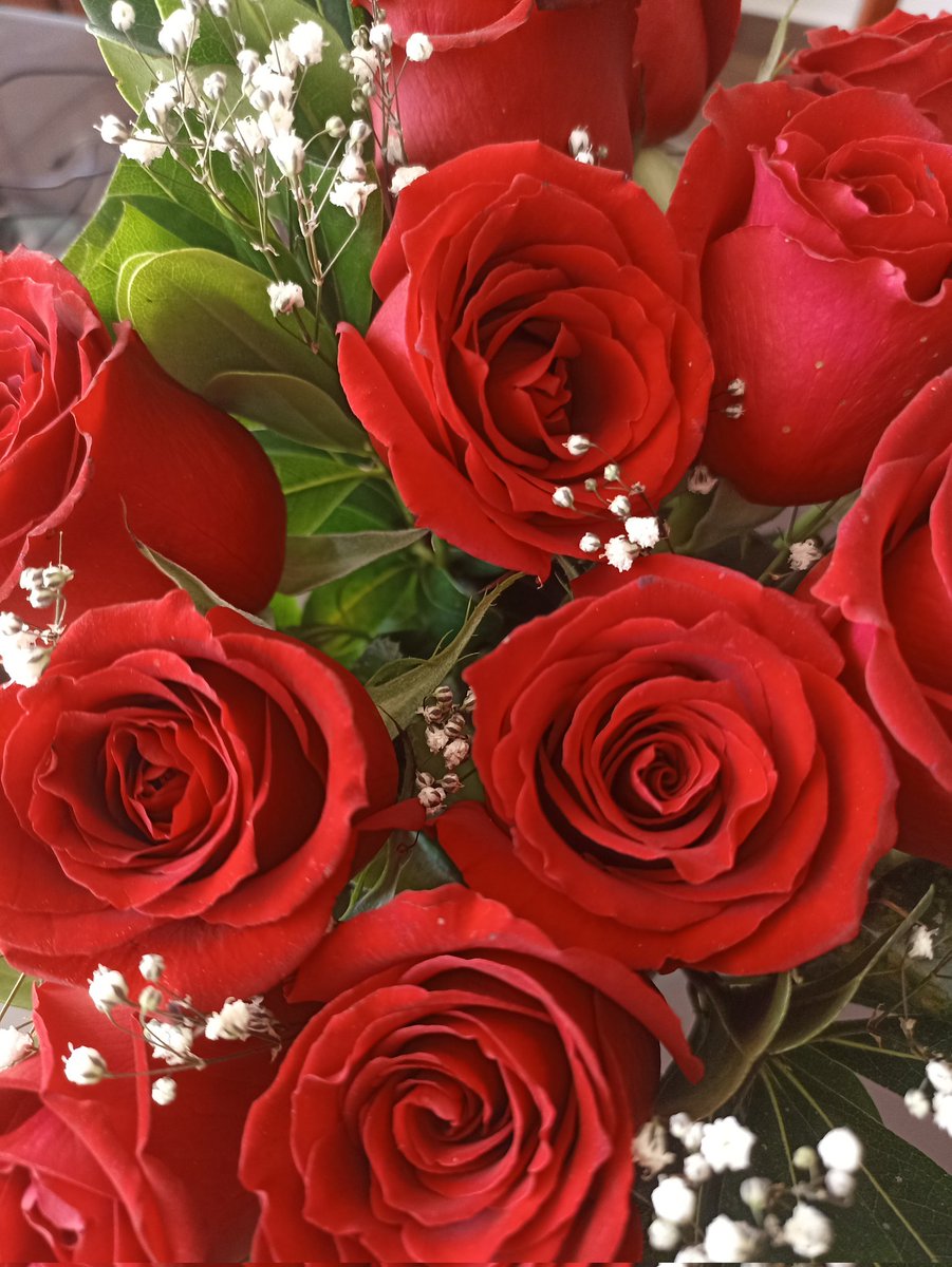 paopandedulce's tweet photo. Mi novio y mi novio y mi novio https://t.co/Oyllxn1iE4