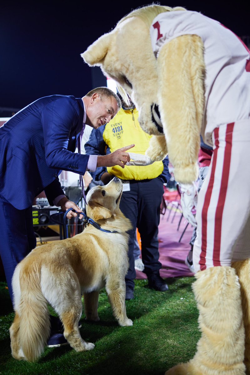 UofOklahoma's tweet photo. Related: Here is our top performing goodest boy of Week 13 https://t.co/NbLZe6OwA3