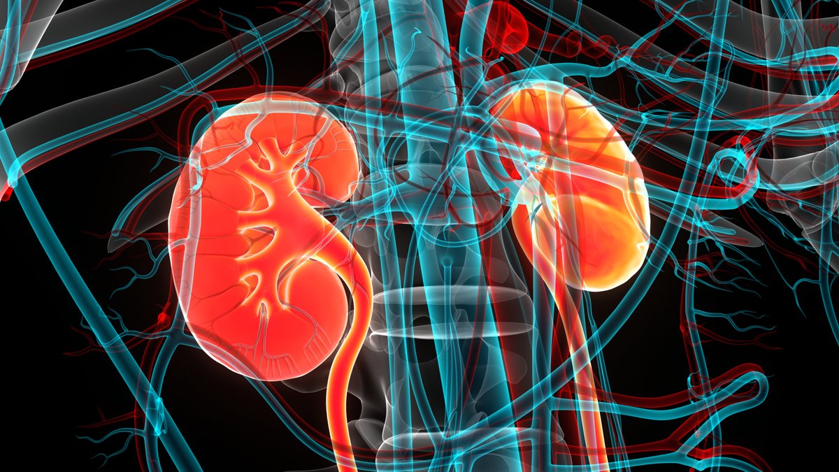 The George Institute for Global Health (@georgeinstitute) on Twitter photo Diabetes and obesity drugs have been found to reduce the risk of kidney failure and protect cardiovascular health in people with and without diabetes. New research by <a href="/Badves/">Sunil Badve</a> and <a href="/VladoPerkovic/">Vlado Perkovic</a> published today 👇
bit.ly/3AUAKXB Diabetes and obesity drugs have been found to reduce the risk of kidney failure and protect cardiovascular health in people with and without diabetes. New research by <a href="/Badves/">Sunil Badve</a> and <a href="/VladoPerkovic/">Vlado Perkovic</a> published today 👇
bit.ly/3AUAKXB
