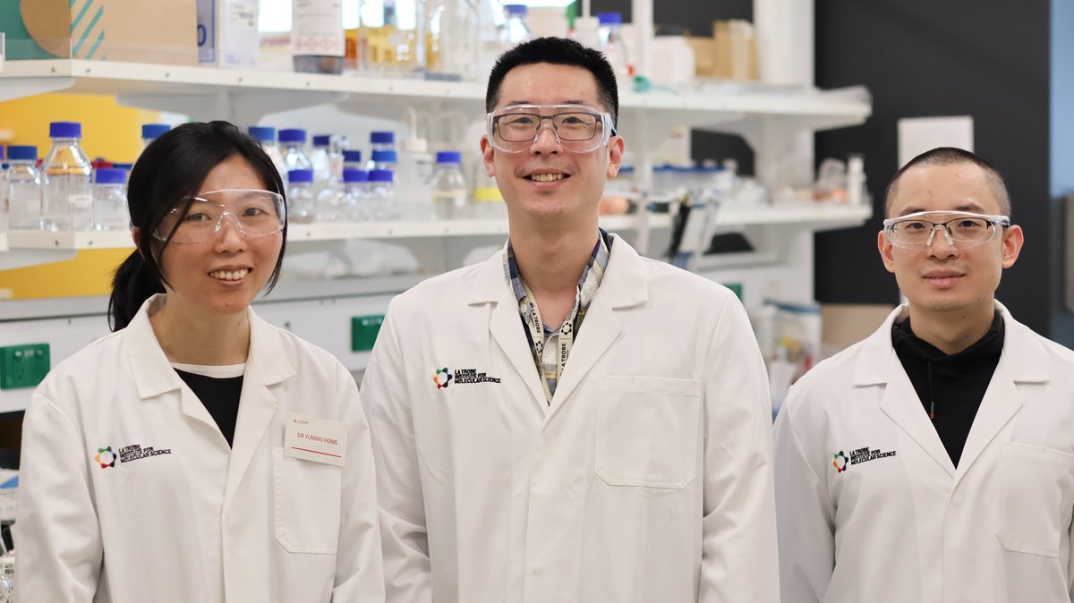 La Trobe Institute for Molecular Science (@limsltu) on Twitter photo 1/2 🔬 Congratulations to LIMS & @SABE_Latrobe’s A/Prof Yuning Hong, Dr Shouxiang Zhang and Dr Tze Cin Owyong, whose world-first research creating a chemical tag to study disordered proteins in living cells has been published in <a href="/naturemethods/">Nature Methods</a>! Read more: latrobe.edu.au/news/articles/… 1/2 🔬 Congratulations to LIMS & @SABE_Latrobe’s A/Prof Yuning Hong, Dr Shouxiang Zhang and Dr Tze Cin Owyong, whose world-first research creating a chemical tag to study disordered proteins in living cells has been published in <a href="/naturemethods/">Nature Methods</a>! Read more: latrobe.edu.au/news/articles/…