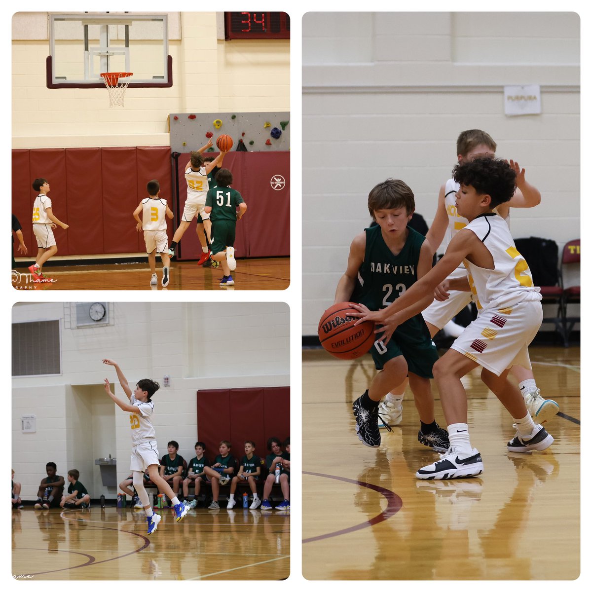 Miss Kroen (@misskroen) on Twitter photo Thank you to Kathleen Thame Photography for taking some great pictures of the HCMS 6th grade basketball team π <a href="/HCMSTigers157c/">Hickory Creek Middle School</a> <a href="/fsd157c/">Frankfort School District 157-C</a> Thank you to Kathleen Thame Photography for taking some great pictures of the HCMS 6th grade basketball team π <a href="/HCMSTigers157c/">Hickory Creek Middle School</a> <a href="/fsd157c/">Frankfort School District 157-C</a>