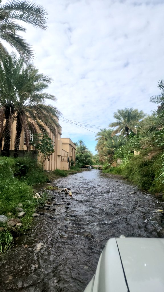 " الـصـبـاح لـوحـة أمـل تـرسـمـهـا شـمـس الـحـيـاة كـل يـوم "

#صباح_الخير
#GoodMorning