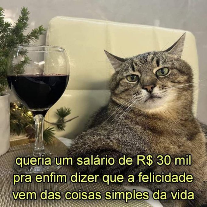 Trouxinha (@euovitinn) on Twitter photo 