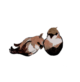 foreveried's tweet photo. ⠀⠀— ✧.* ⠀⠀ ⠀⠀⠀⠀ 𝐭𝐢𝐦𝐞 𝐟𝐥𝐢𝐞𝐬 𝐚𝐬 𝐚 𝐬𝐭𝐞𝐞𝐝 𝐰𝐡𝐢𝐭𝐞,
⠀⠀⠀⠀ 𝐚 𝐜𝐨𝐦𝐞𝐭’𝐬 𝐬𝐞𝐚𝐫𝐢𝐧𝐠 𝐟͟ ͟𝐥͟ ͟𝐚͟ ͟𝐬͟ ͟𝐡͟,
⠀⠀⠀⠀ 𝐚 𝐝𝐫𝐞𝐚𝐦 𝒎𝒊𝒅-𝒓𝒆𝒗𝒆𝒓𝒊𝒆. ⠀⠀⠀⠀⠀⠀ ⠀⠀⠀⠀⠀⠀ ✦⠀⠀⠀⠀ https://t.co/u2mVhr0ukb