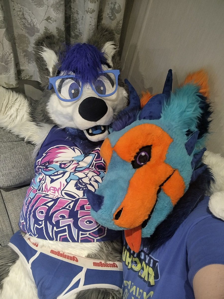 NikoMusicNote's tweet photo. Jaffa derg getting a nice cuddle with a cute @ItsHarryHusky https://t.co/klWk58fmkk