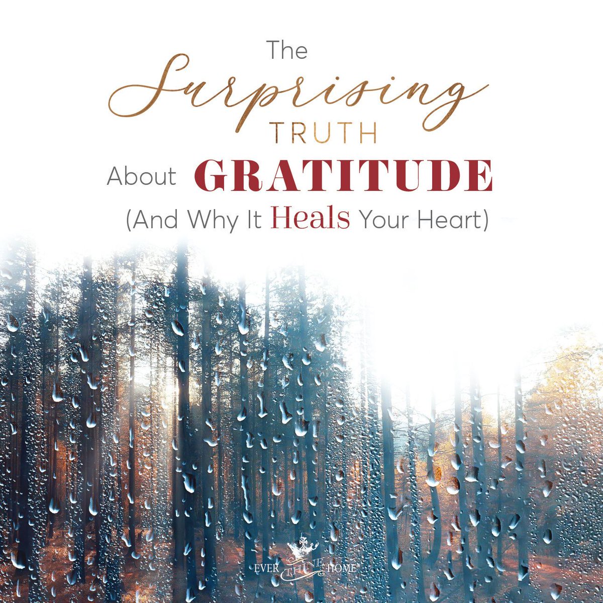 You may be facing difficult situations in your life. So how do you face the rapidly approaching holidays this year when your world has been turned upside down?

Read more - buff.ly/4155nUC