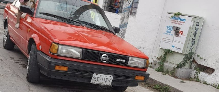 TrejoReportera's tweet photo. Muerte de Kopi por ataque de pitbull ha causado indignación https://t.co/9QuoCiLrDV #Chiapas https://t.co/ry4cSUwpVW