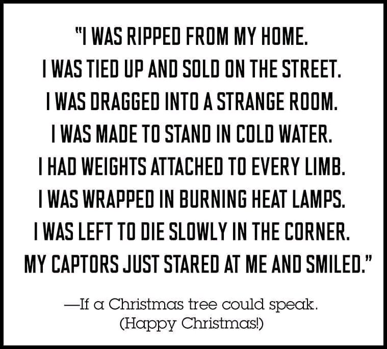 Optimistic Lizard 🌊proud to be a LIBERAL tweet media