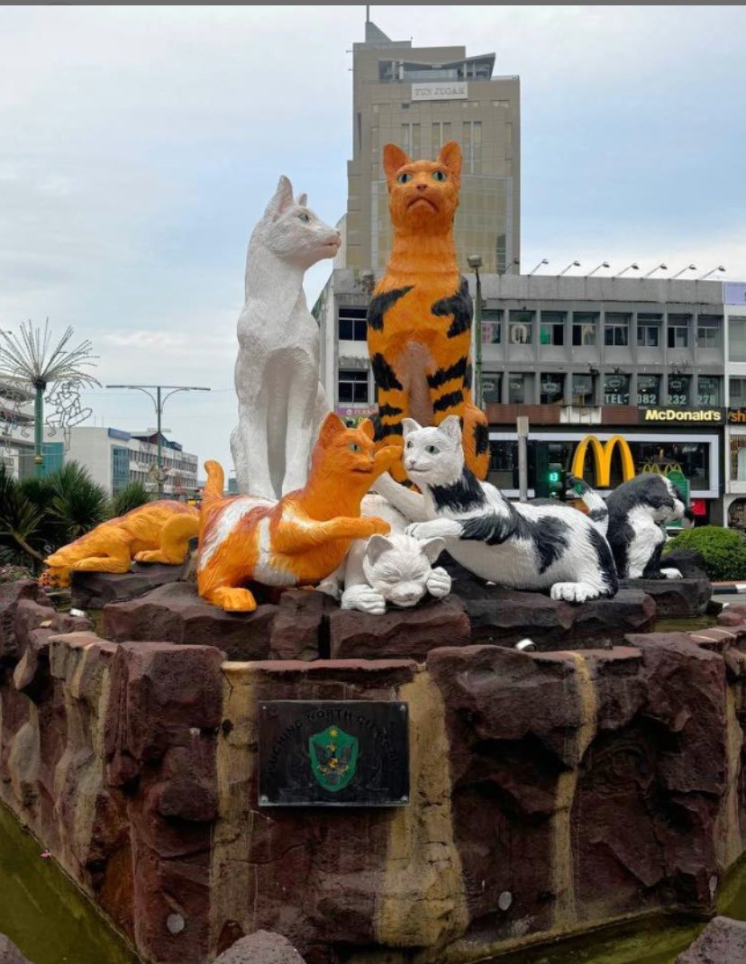 ahdnaeem's tweet photo. @tedry Hulhu Male Cat 🐈‍⬛ Shelter Hunna hisaabu ga ves roundabout eh , Gadi buru kiyaa gothah Miaow Miaow 🐈‍⬛buru 🙏 https://t.co/8aUcncVbuV