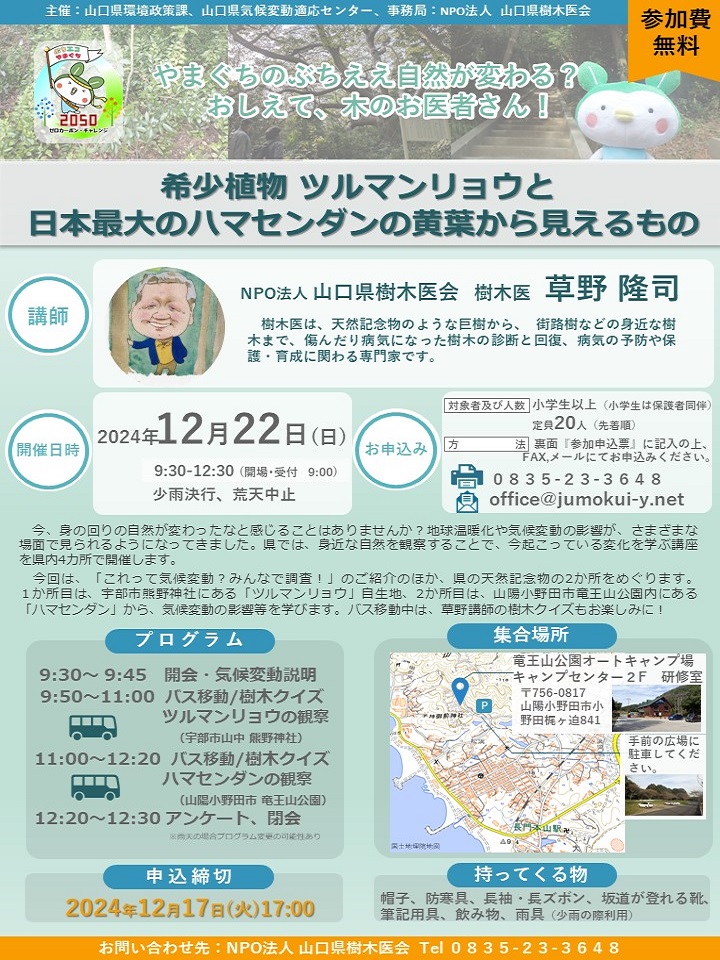 ecoccha_y's tweet photo. 【やまぐちのぶちええ自然が変わる？おしえて、木のお医者さん！希少植物ツルマンリョウと日本最大のハマセンダンの黄葉から見えるもの　参加者募集中！】
12月22日（日）に、＃気候変動 への理解を深めるための #イベント を開催
ぜひ参加して欲しいっちゃ！
詳細はこちら
https://t.co/zw4FGBrbie

#ぶちエコ