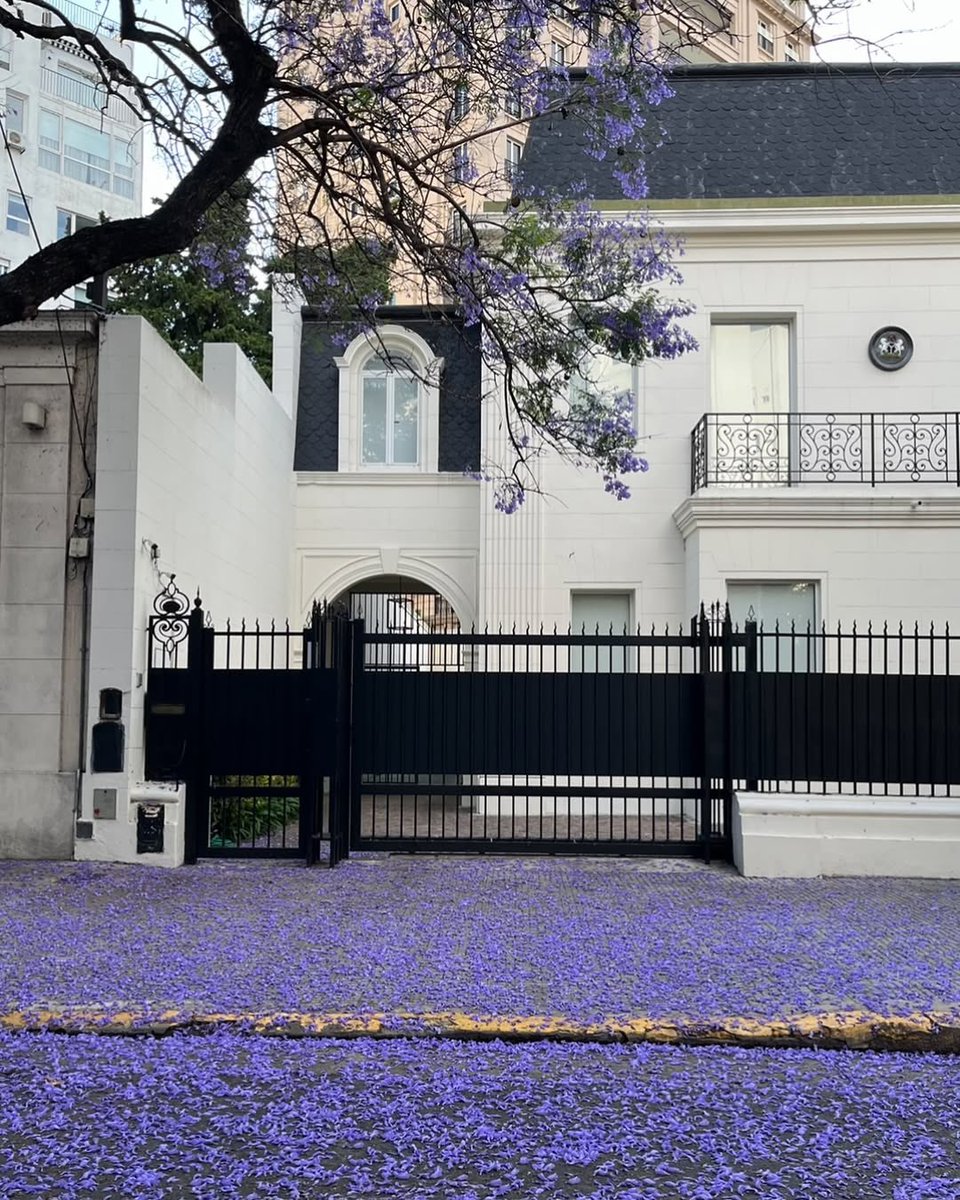 The Argentinean Empire (@gonsanchezreyar) on Twitter photo 