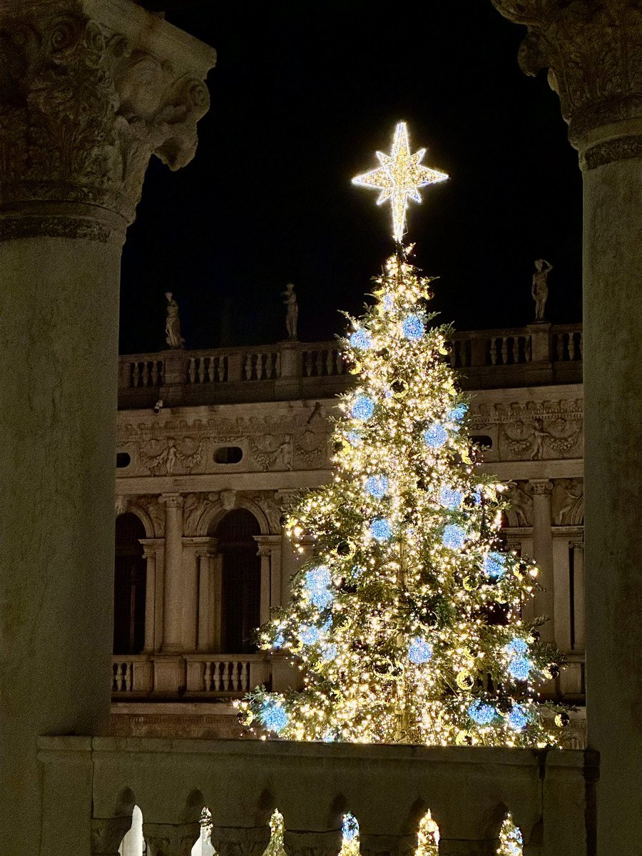 mamboitaliano__'s tweet image. Just lit ✨

The ethereal beauty of this year’s Christmas Tree in Venice  

Christmas in Italy 🎄🇮🇹