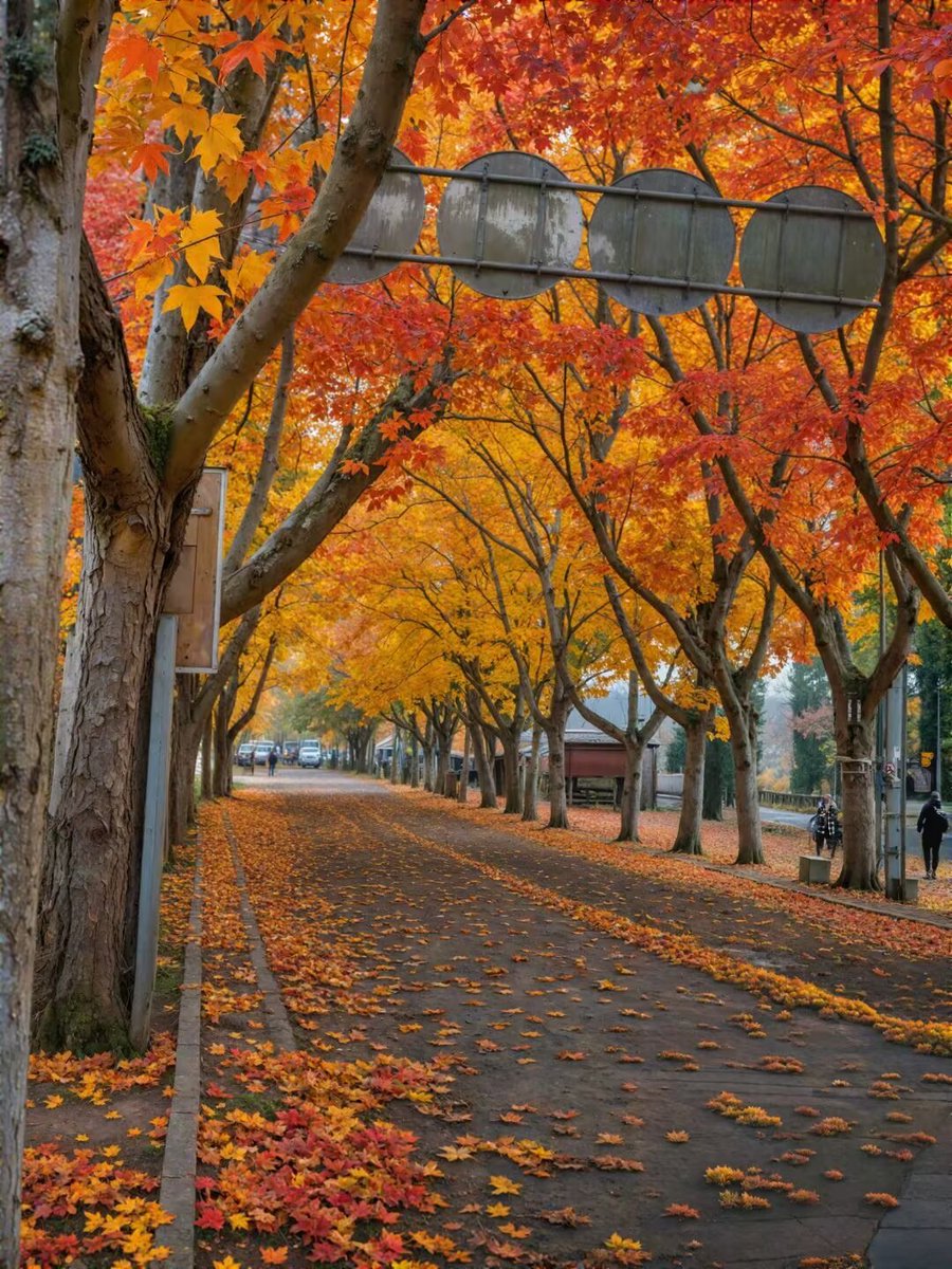 return0214cool's tweet photo. @hsh6669 太冷啦 https://t.co/eqOnfsPoL2