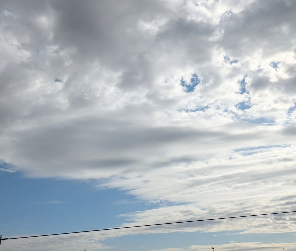 10時にアラームかけてこまちとベランダに出ました。厚い雲が空を覆っていましたが10時になると隙間から青空が見え始めました。ぶん太君とは会ったことがなかったけれどお友達としてお見送りさせていただきました。いつか会いましょうね！行ってらっしゃい！