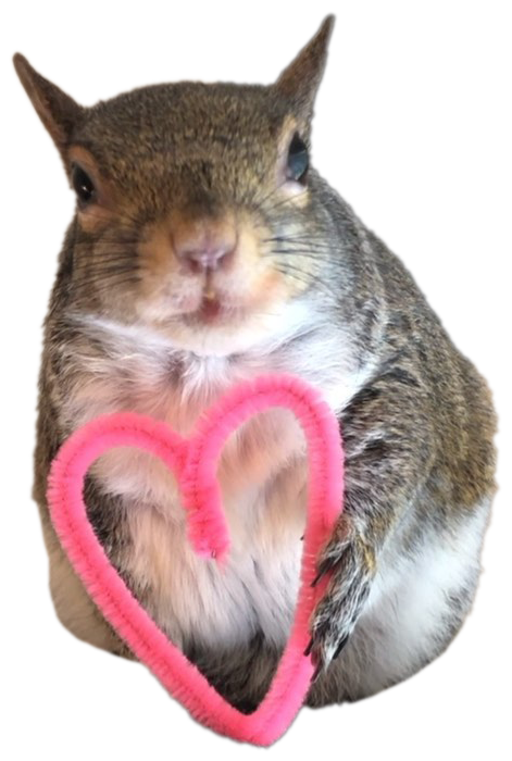 Squirrel_TOKEN_'s tweet photo. 💡Jill is full of warmth and humor.

✨Enter Jill's world and explore the wonderful moments on Binance Smart Chain.

                                                                                                             #Cryptocurency https://t.co/0jq2LW67uV