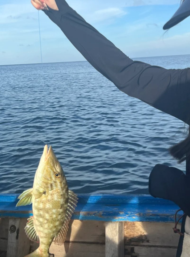 ShellUEJF's tweet image. 豊作になることを願っています😅