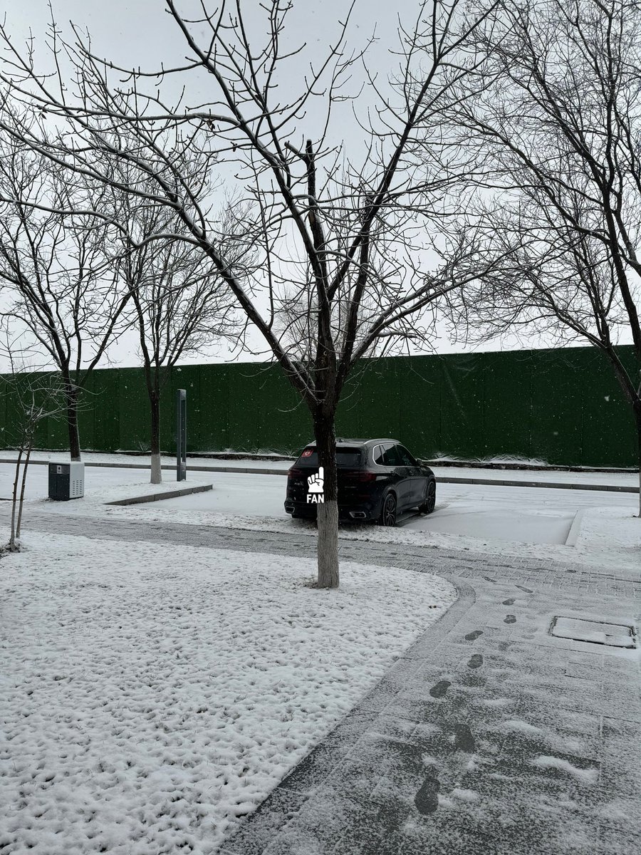 可总算有点冬天的样子了