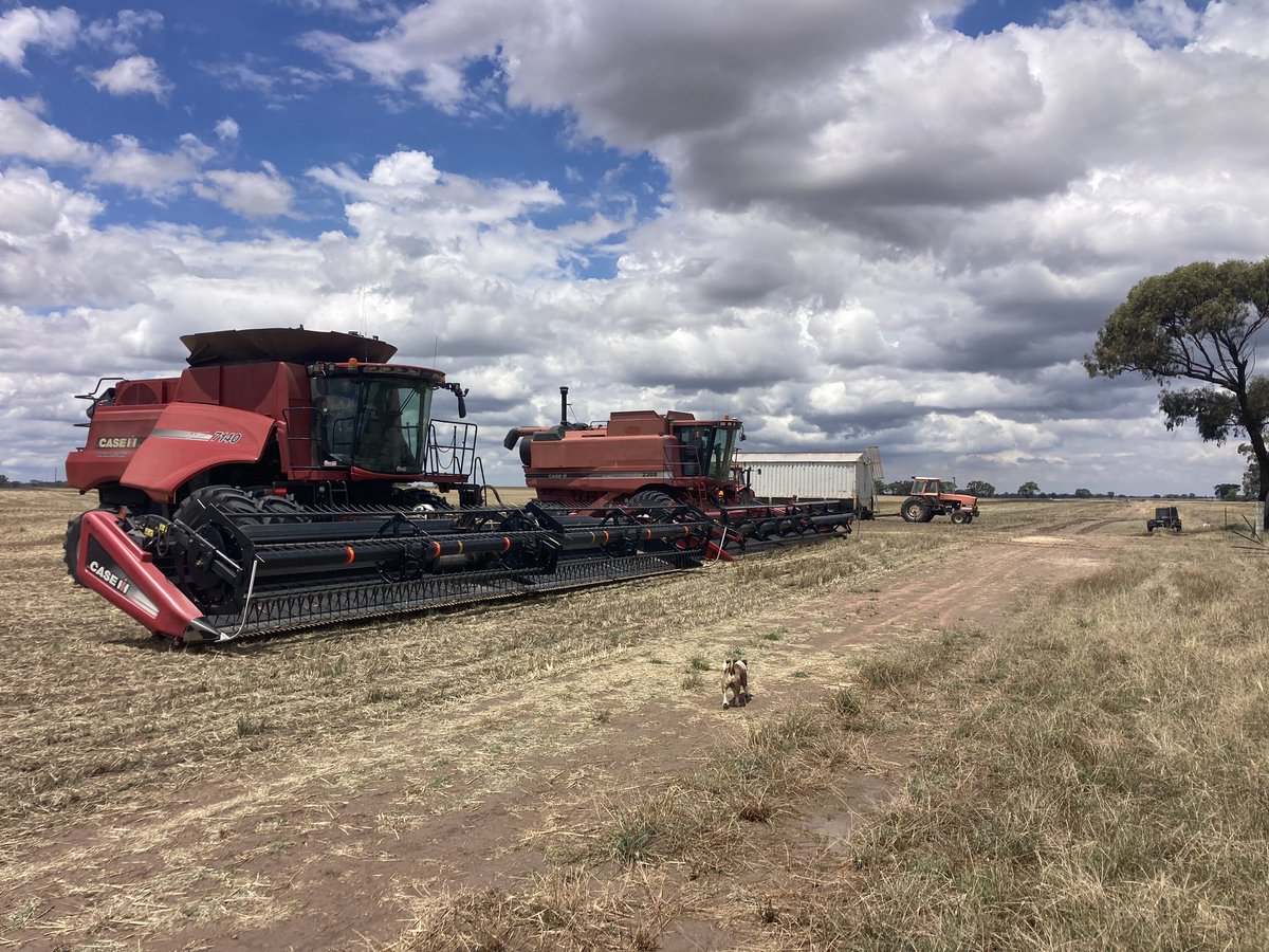 dirtwork69's tweet image. #moist