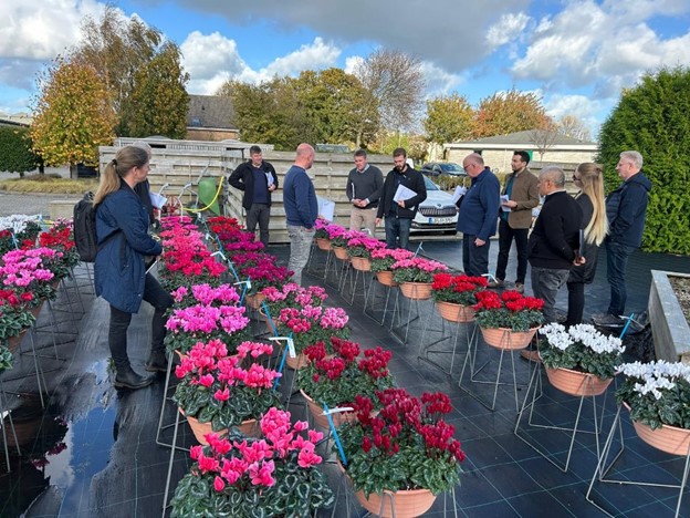 Syngenta Flowers tweet media